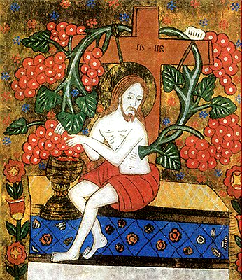 Лоза истинная